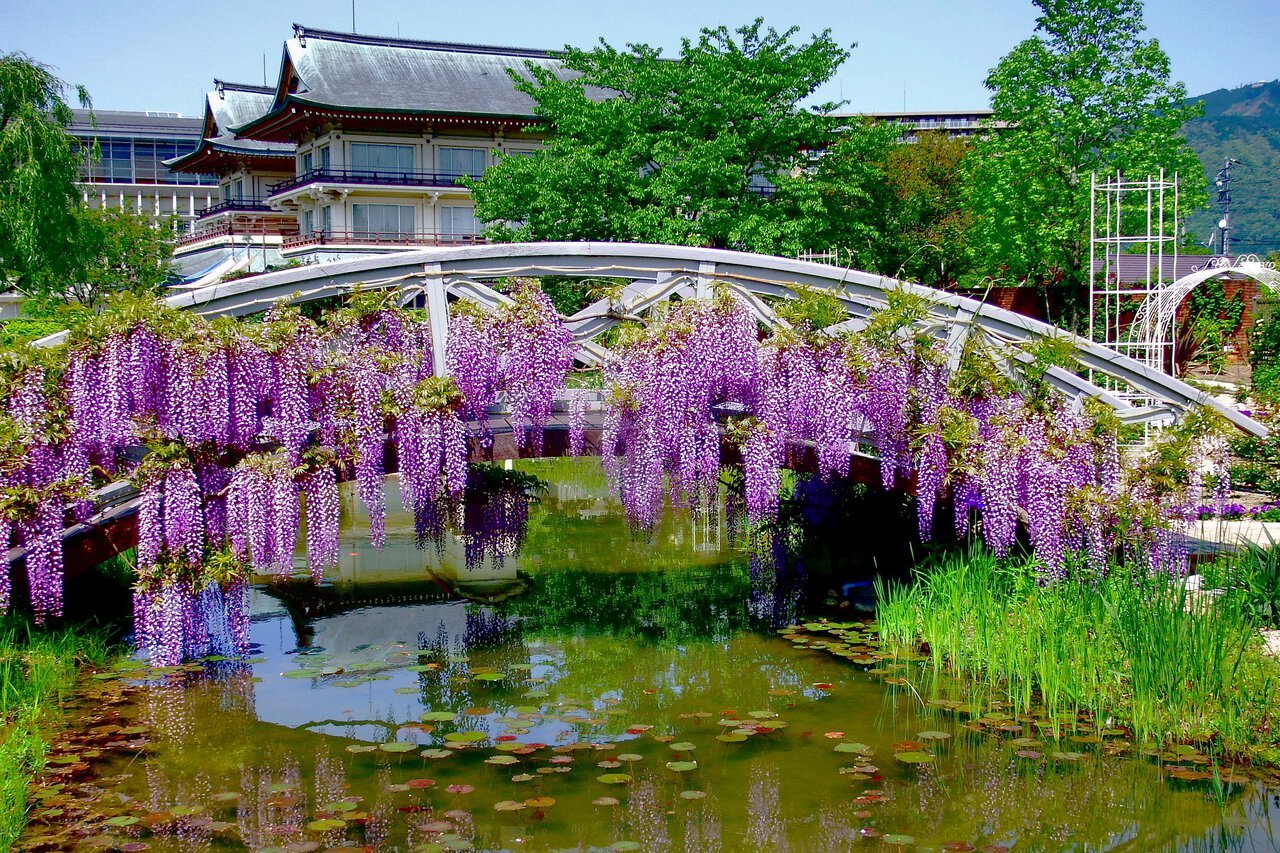 🏛️ 비와호 오쓰관(비와코 오츠칸) 이미지 3